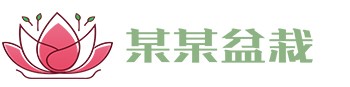 九游会(J9)官方网站-真人游戏第一品牌[VIP]